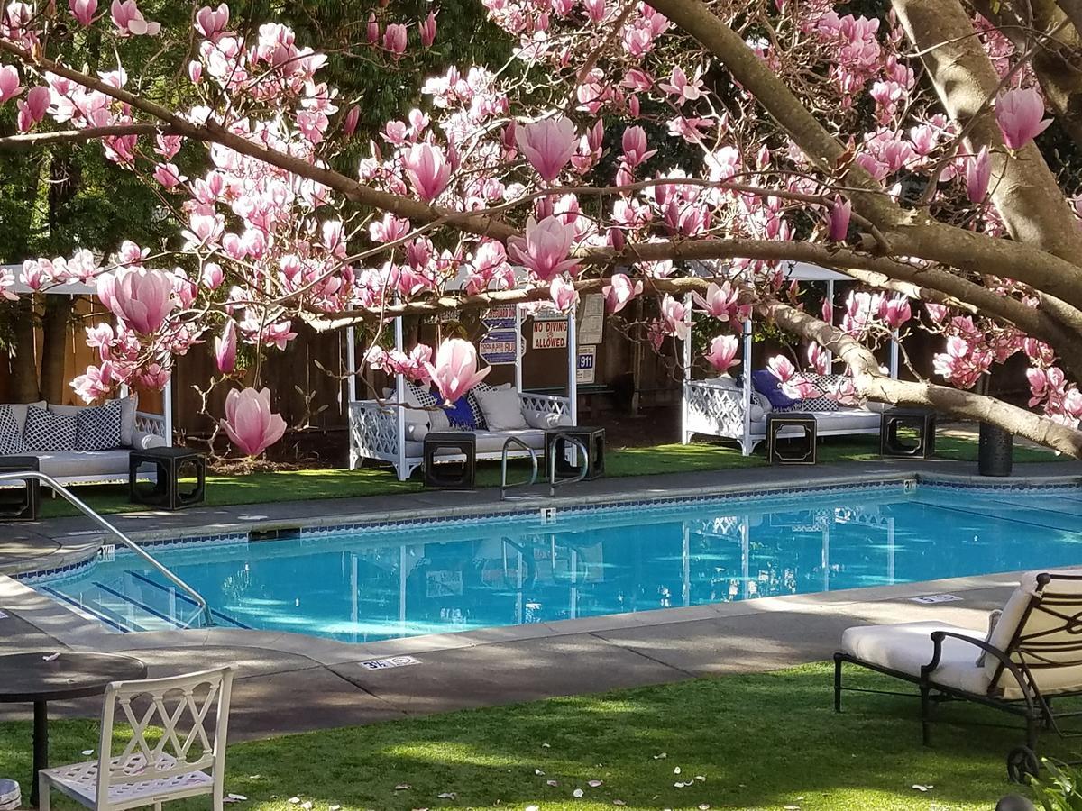 The White House Napa Valley المظهر الخارجي الصورة